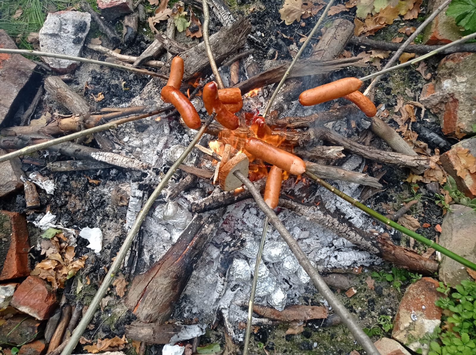 Dzień ziemniaka i ognisko